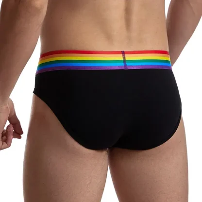 Rainbow Waistband Mesh Brief - Image 5
