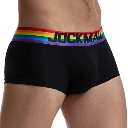 Rainbow Waistband Mesh Brief - Image 4