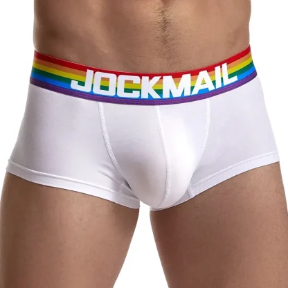 Rainbow Waistband Mesh Brief