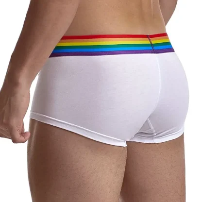 Rainbow Waistband Mesh Brief - Image 3